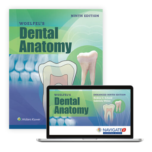Test Bank For Woelfel's Dental Anatomy Ninth Edition Rickne C. Scheid