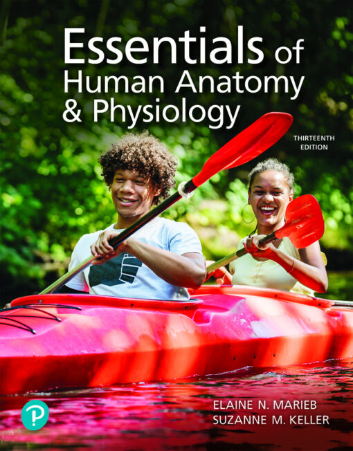Test Bank For Essentials of Human Anatomy & Physiology, 13th Edition Authors Elaine N. Marieb and Suzanne M. Keller