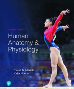 Human Anatomy & Physiology
