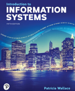 introduction to information systems